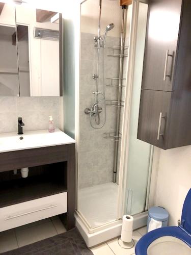 une salle de bain avec douche et lavabo dans l'établissement Maison charmante à Saint-Martin-de-Brômes avec piscine partagée, à Saint-Martin-de-Brômes