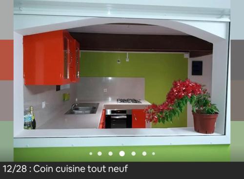 Кухня или кухненски бокс в Studio avec jardin amenage et wifi a Le Marin a 3 km de la plage