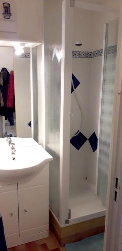 La salle de bains est pourvue d'un lavabo et d'une douche. dans l'établissement Charmant studio à Agde, 32 m² avec équipements modernes, au Cap d'Agde