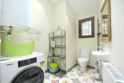 a bathroom with a washing machine and a toilet at Maison charmante au Thor + Piscine in Le Thor