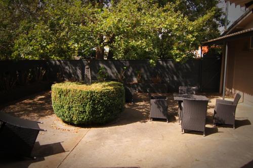 a yard with chairs and a hedge and a table and chairs at Motel Melrose in Mittagong