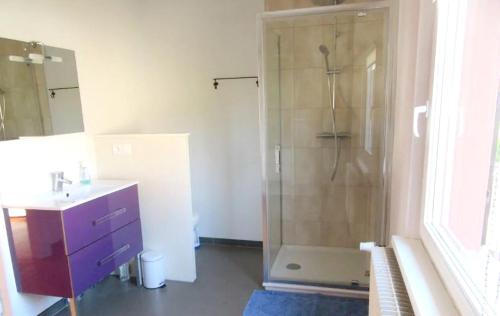 y baño con ducha y lavamanos. en Maison de 2 chambres avec jardin clos et wifi a Gottenhouse en Gottenhouse