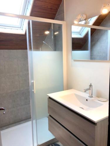 une salle de bain avec un lavabo et une douche dans l'établissement Maison accueillante à Betpouey avec superbe terrasse, à Betpouey