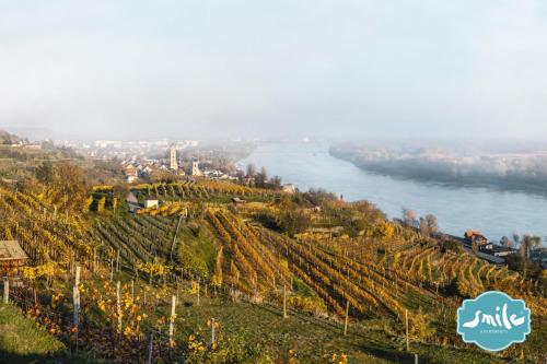 Gallery image of Donau Strandhaus mit Dürnstein Panorama in Rossatzbach