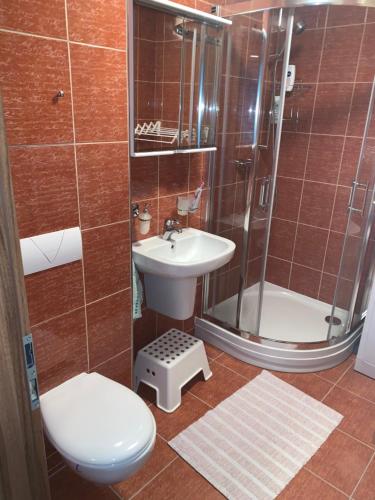 een badkamer met een toilet, een wastafel en een douche bij Apartmán Lesníček in Stará Lesná