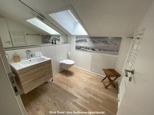 een badkamer met een wastafel en een toilet met een dakraam bij Ferienhaus Alpenjuwel in Garmisch-Partenkirchen