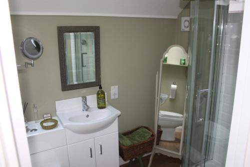 a bathroom with a sink and a shower and a toilet at The Green Room in Midhurst