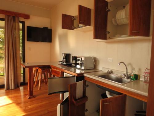 a kitchen with a sink and a counter top at Villa Segura Manuel Antonio, Quepos in Quepos