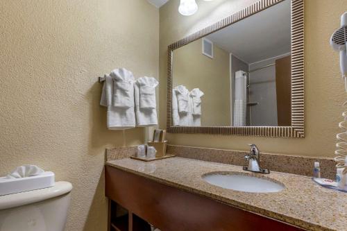 La salle de bains est pourvue d'un lavabo, de toilettes et d'un miroir. dans l'établissement Comfort Inn At the Park, à Fort Mill