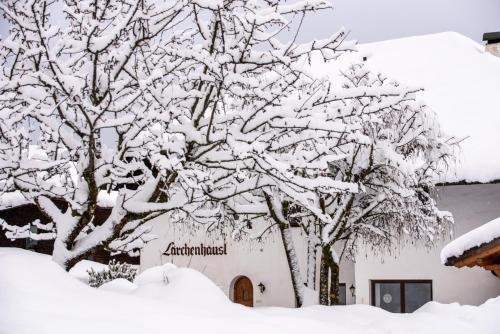 a tree covered in snow in front of a building at Residence Lärchenhäusl in Soprabolzano