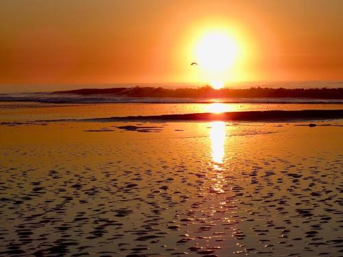 Maitenas Pinamar – Photos 2