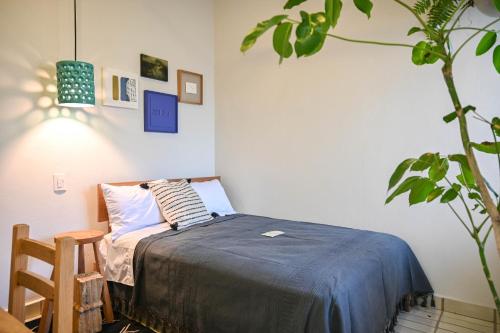 a bedroom with a bed with a blue blanket at Casa Kali by Barrio México in Guadalajara