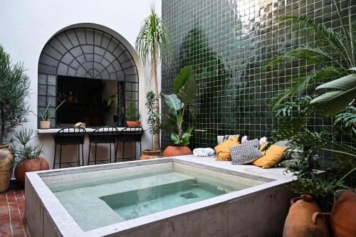 a swimming pool in a courtyard with plants at Casa Kali by Barrio México in Guadalajara