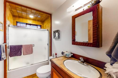 a bathroom with a sink and a toilet and a mirror at Nature's Paradise in Gualala