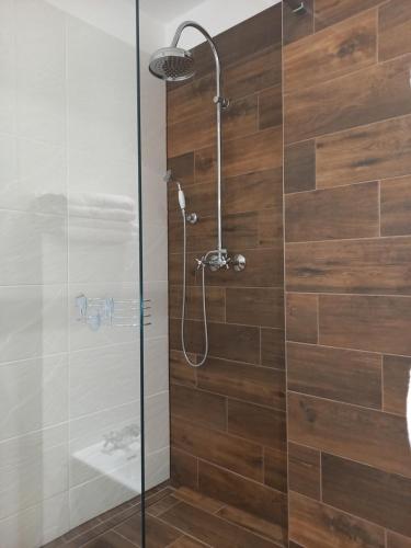 a bathroom with a shower with a glass door at Apartmány Marie Jáchymov in Jáchymov