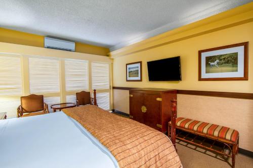 a bedroom with a bed and a flat screen tv at The Equus in Honolulu