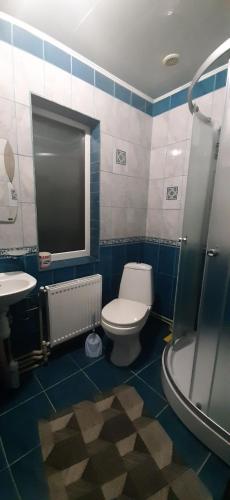 a bathroom with a toilet and a sink and a shower at Arkan in Mykulychyn