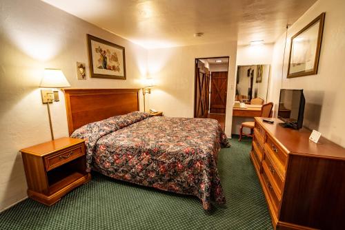 ein Hotelzimmer mit einem Bett und einem TV in der Unterkunft Sands Motel in Cheyenne