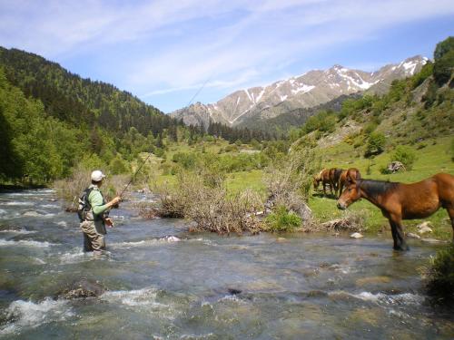 a man fishing in a river with a horse at Hotel Estanys Blaus in Tavascan