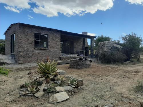 una casa de ladrillo con una planta delante en Denmark Farm Stay, en Cradock