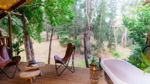 a bath tub sitting on a deck with a view of a forest at Castlemaine Gardens Luxury Safari Tents in Castlemaine