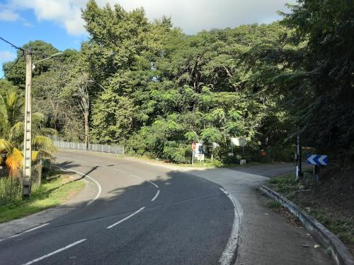 an empty road with trees on either side at Résidence Les Manguiers in Pointe-Noire