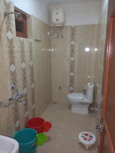 a bathroom with a shower and a toilet and a sink at Maa Anand Mayee Guest House in Panuānaula