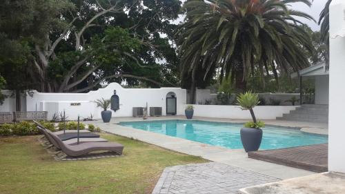 una piscina en un patio con palmeras en Slaley Country House, en Stellenbosch