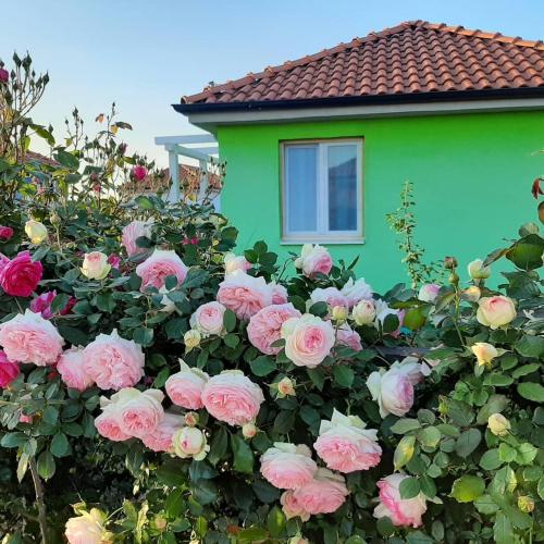 Termalna Rivijera Apartmani – Photos 3