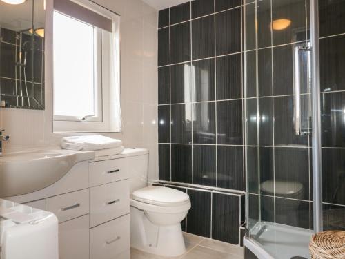 a bathroom with a toilet and a sink and a shower at Crantock Lodge in Newquay