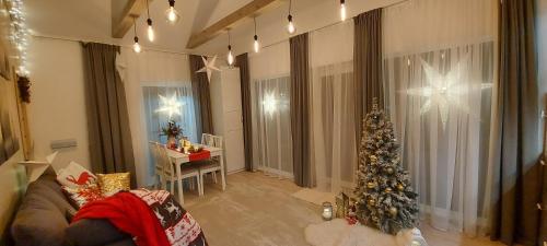 a living room with a christmas tree and a couch at Brīvdienu māja ar Saunu in Saulkrasti