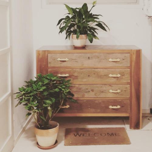 two potted plants sitting on top of a dresser at Gardenia Guest House in Forlì