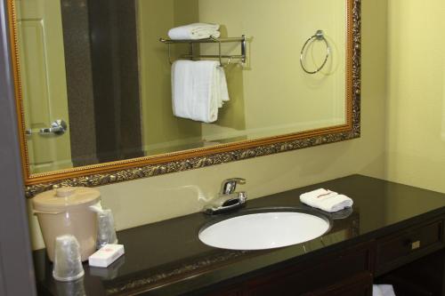 a bathroom with a sink and a mirror at Red Roof Inn & Suites Detroit - Melvindale/Dearborn in Melvindale