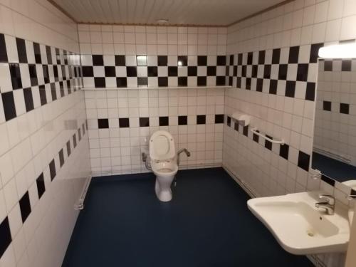 ToijalaにあるHostel Vekotinのバスルーム(トイレ、洗面台付)