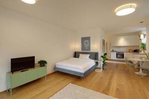 Il comprend une grande chambre avec un lit et une cuisine. dans l'établissement Boutique Apartments Freiburg - Elsa, à Fribourg-en-Brisgau