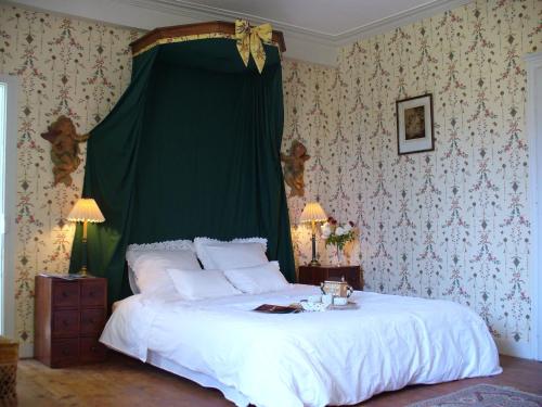 ein Schlafzimmer mit einem großen Bett mit grünem Baldachin in der Unterkunft Château des Lutz in Daon