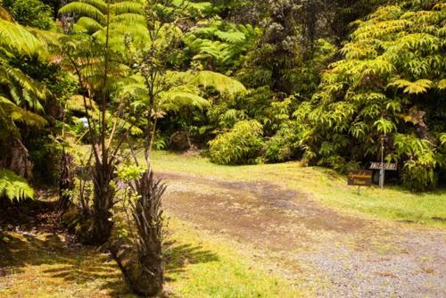 a dirt road in a forest with trees and plants at Cymbidium House Volcano Village by Casago Kona - Fun! in Volcano