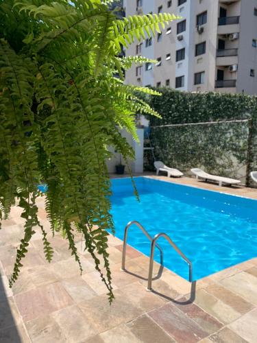 a blue swimming pool with a large green plant at Alma de Maré Hostel in Guarujá