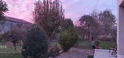 a view of a yard with trees and a building at La Celeste a Montegaldella -VI - Italia in Montegaldella