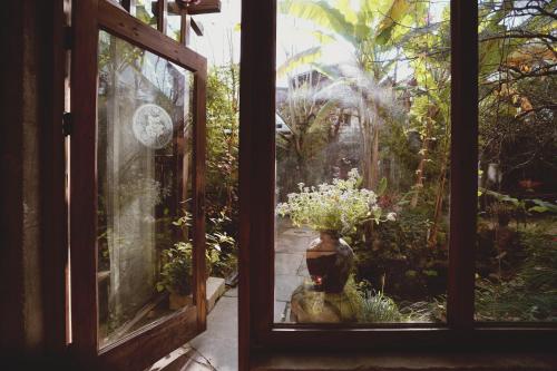 WuYuan QiYe YanXiang Guesthouseにある庭