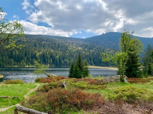 a view of a lake with mountains in the background at Hotel Waldfrieden "Das kleine Hotel" in Spiegelau
