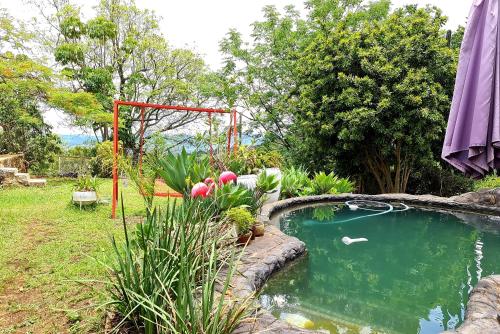einen Pool in einem Garten mit einem Drachen im Wasser in der Unterkunft Eagle's Nest in Barberton