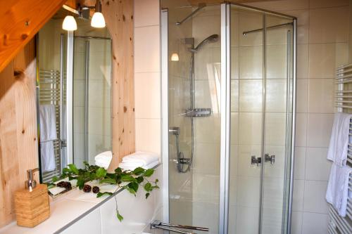 a bathroom with a shower and a sink at Natur Apartments Natalia in Fürth