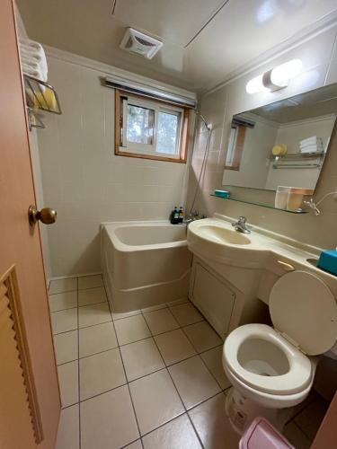 a bathroom with a toilet and a tub and a sink at View on View B&B in Puli