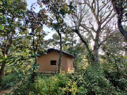 Κήπος έξω από το Surwahi Social Ecoestate Kanha
