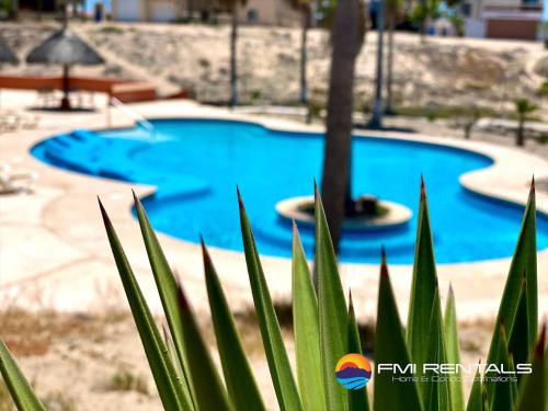 une piscine bleue avec un palmier au premier plan dans l'établissement Villa 14, à Puerto Peñasco