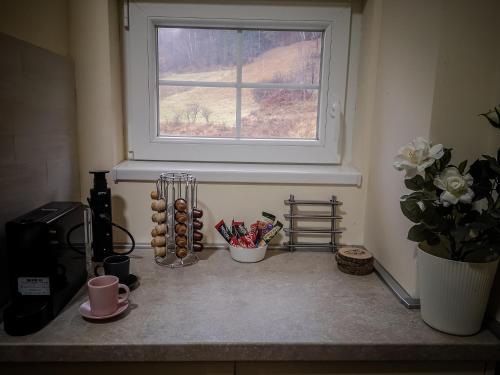 eine Küchentheke mit einem Fenster und Blumen darauf in der Unterkunft STAR apartman Brzece Kopaonik in Brzeće