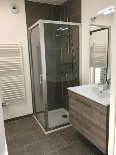 La salle de bains est pourvue d'une douche et d'un lavabo. dans l'établissement LA COSTIERE DU LAC - ANNECY - Vieille ville, Plage, Garage, à Annecy