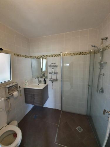 a bathroom with a toilet and a shower and a sink at Galilee Gali in Kefar Weradim