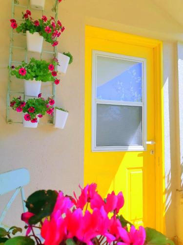 a yellow door with flower pots and a window at Galilee Gali in Kefar Weradim